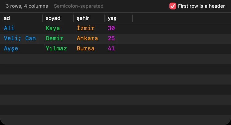 CSV dosyasının tablo görünümü